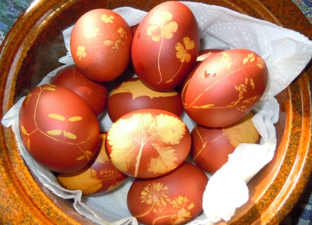 Ostereier färben mit Zwiebelsud und Pflanzen 47 Anleitung - Ostereier natürlich färben mit Blumenmuster