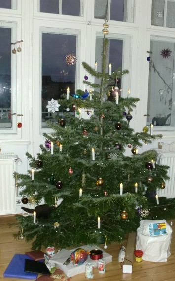 Frohe Weihnachten! 
