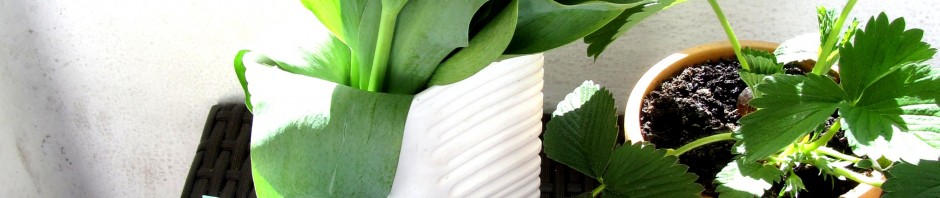 Frohe Ostern! 4 Frohe Ostern!