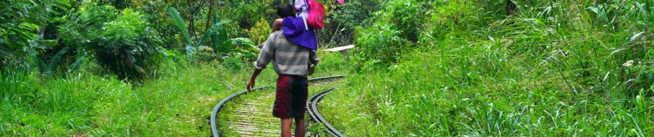 Sri Lanka Rundreise mit Marco Polo YLT – Tag 10-11