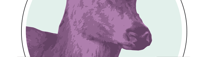 Funkelfaden im neuen Design - Hilfe benötigt 1 Funkelfaden im neuen Design – Hilfe benötigt