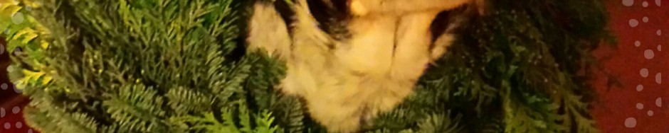 Ich wünsche euch einen frohen 1. Advent!