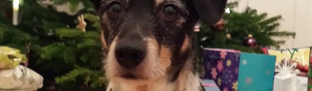 Frohe Weihnachten!