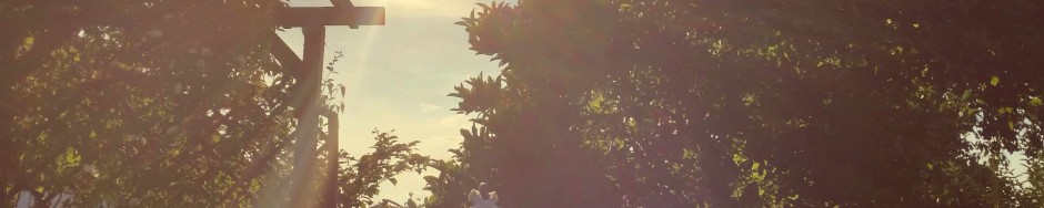 Vom Ausländer im Garten zählen