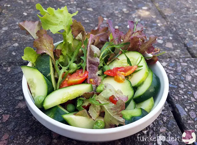 Salat im Garten