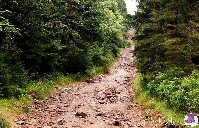 Wanderweg im Böhmischen Wald