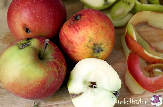Äpfel mit Würmern verarbeiten