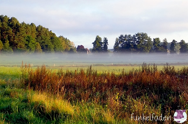 Morgendlicher Nebel in Niedersachsen
