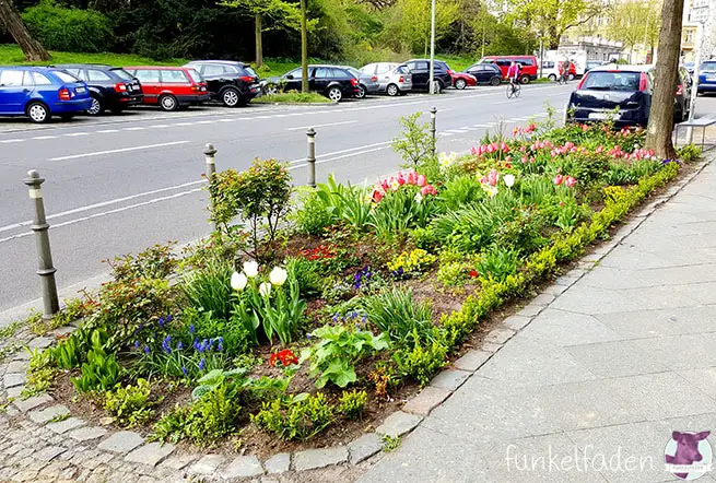Urban Gardening in Kreuzberg