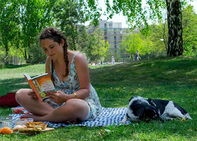 Lesen im Park 
