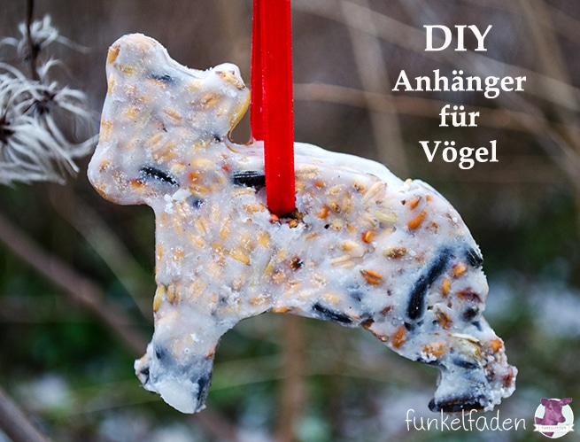 DIY - Vogelfutteranhänger selber machen