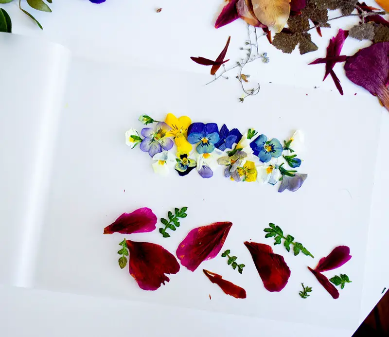DIY Anleitung - Lesezeichen mit getrockneten Blumen basteln