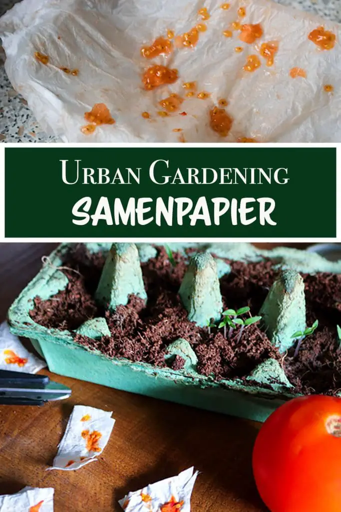 Anleitung Saatpapier selber machen Urban Gardening Samenpapier