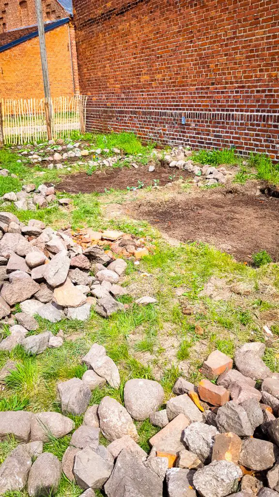 Steine ausgraben aus dem Garten mit der Spitzhacke - Garten anlegen