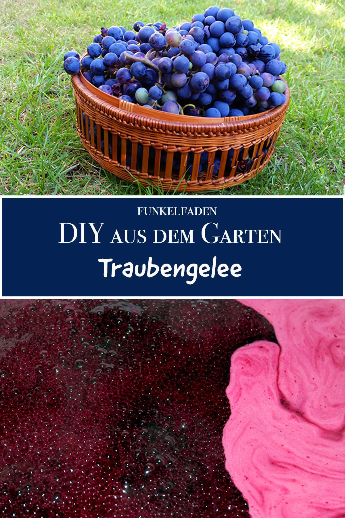 DIY Rezept - Traubengelee aus Weintrauben aus dem Garten Selbermachen