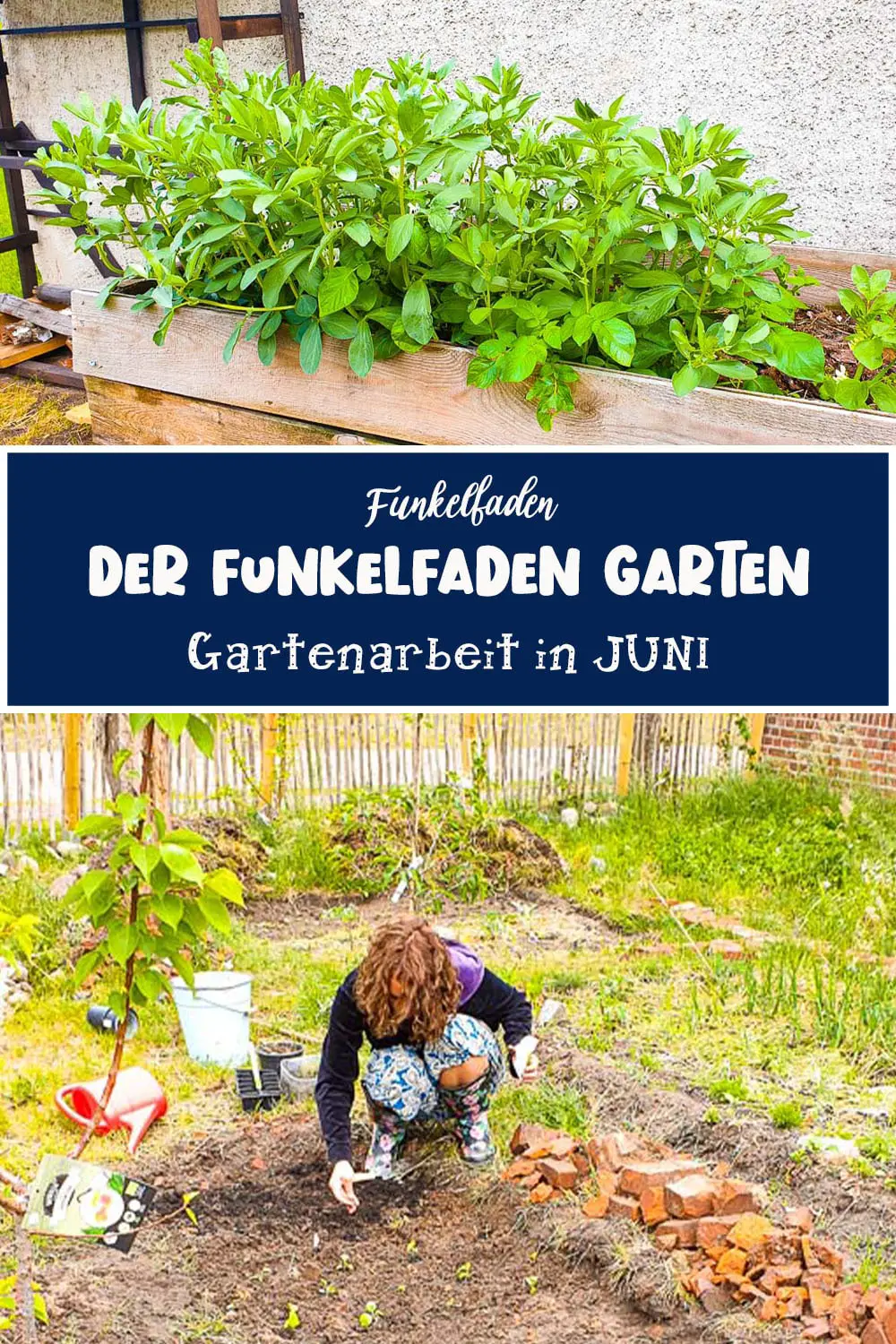Der Funkelfaden Garten im Juni – Pflanzen & Mulchen