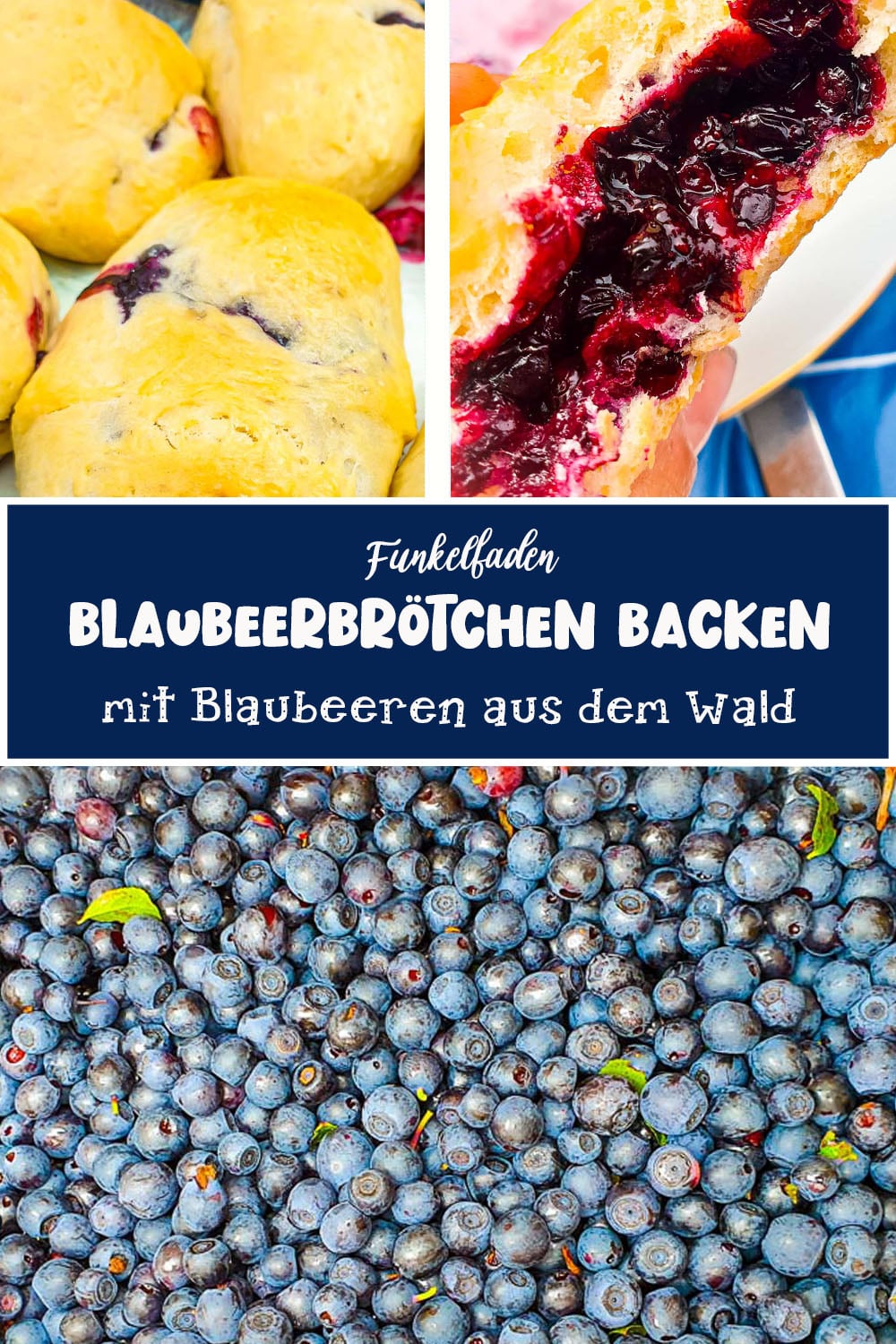 Blaubeeren im Wald sammeln + Rezept für Jagodzianki 40 Jagodzianki Blaubeerbrötchen backen mit Blaubeeren aus dem Wald