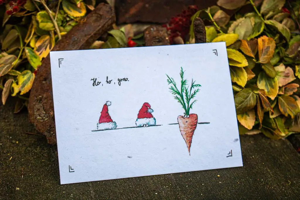 Grußkarten mit Saatgut Weihnachten - Karten zum Einpflanzen