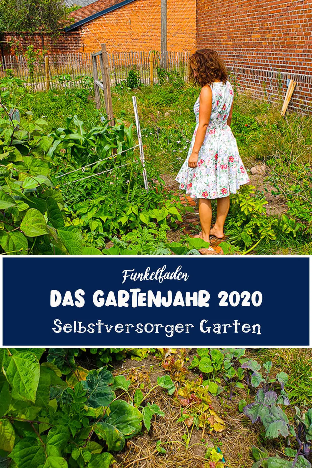 Das Gartenjahr 2020 - Selbstversorger Garten 