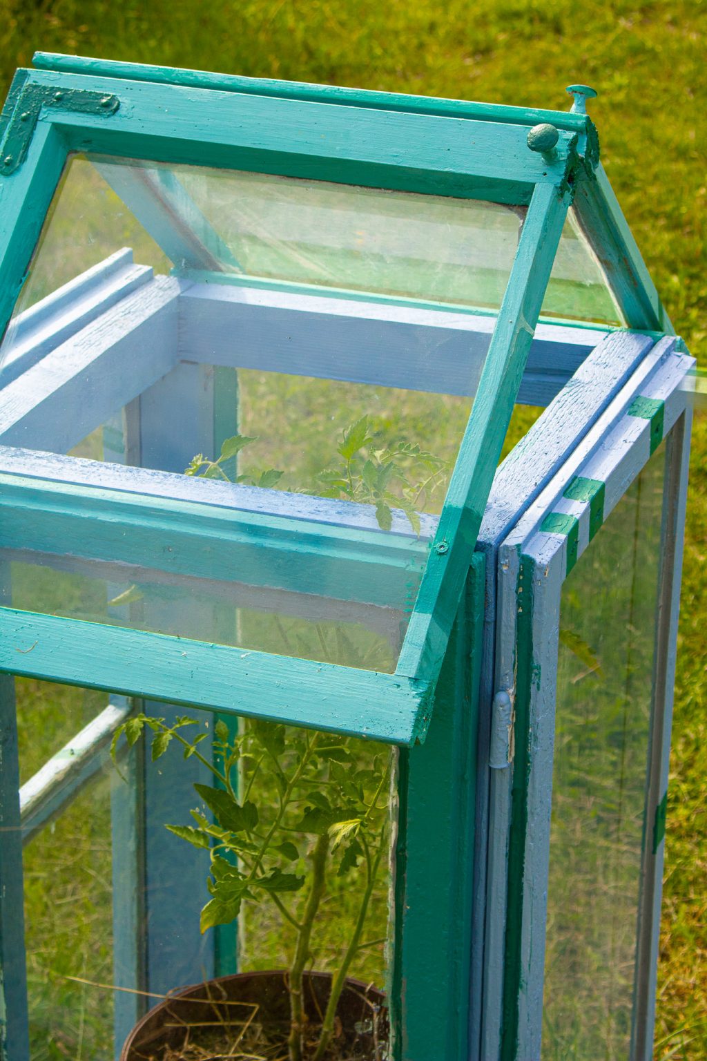 Mini Gewächshaus aus alten Fenstern bauen Funkelfaden